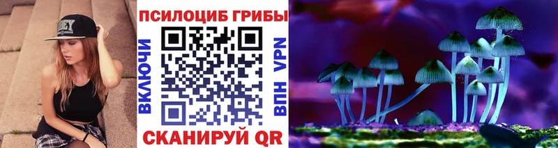 продажа наркотиков  mega как войти  Галлюциногенные грибы GOLDEN TEACHER  Татарск 